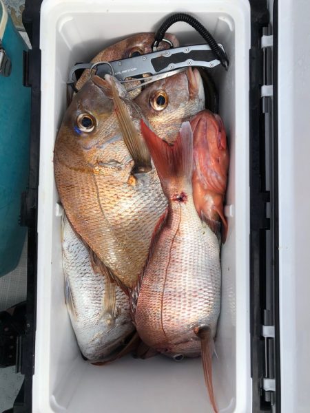 フィッシング キッタカ 釣果