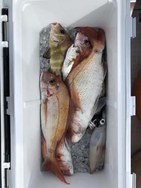 フィッシング キッタカ 釣果