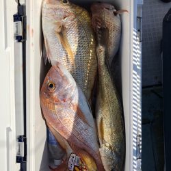 フィッシング キッタカ 釣果