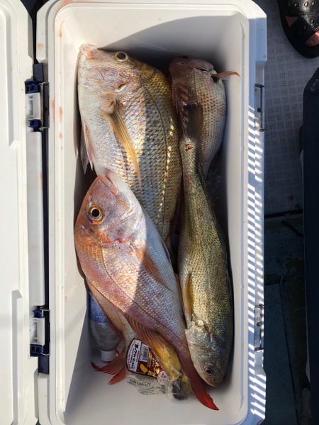 フィッシング キッタカ 釣果