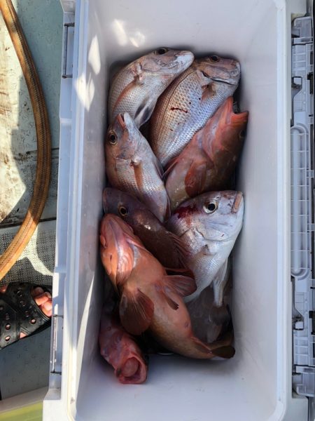 フィッシング キッタカ 釣果