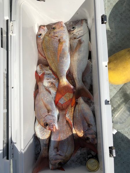 フィッシング キッタカ 釣果