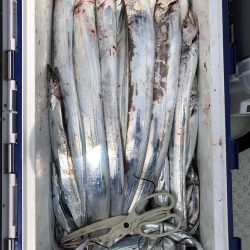 フィッシング キッタカ 釣果