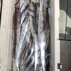 フィッシング キッタカ 釣果