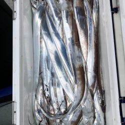 フィッシング キッタカ 釣果