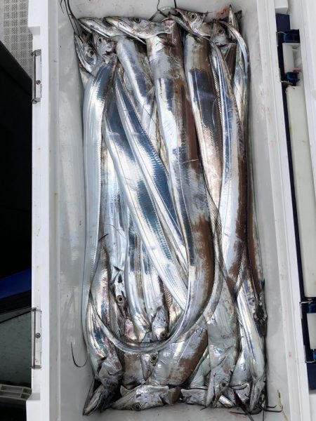 フィッシング キッタカ 釣果