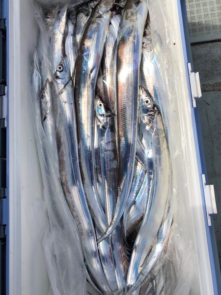 フィッシング キッタカ 釣果