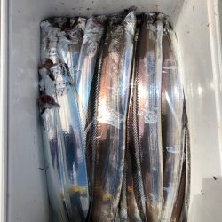 フィッシング キッタカ 釣果