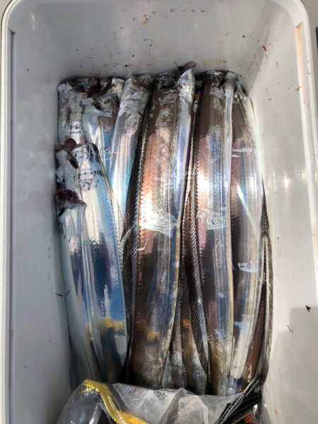 フィッシング キッタカ 釣果