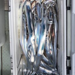 フィッシング キッタカ 釣果