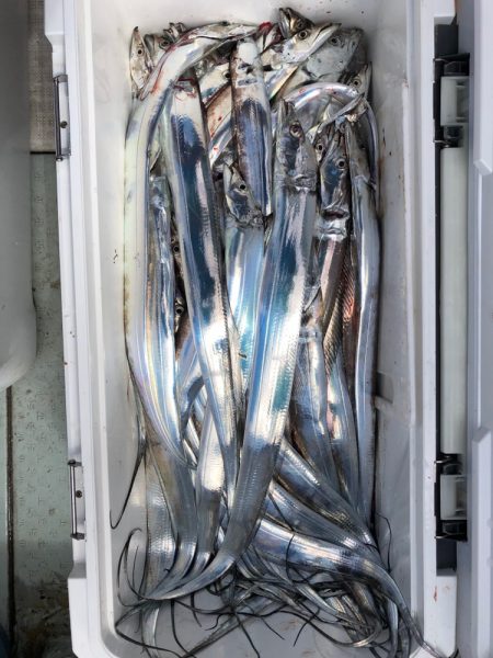 フィッシング キッタカ 釣果