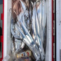 フィッシング キッタカ 釣果