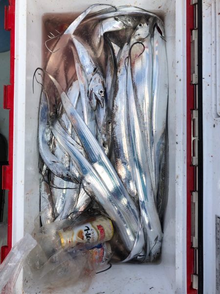 フィッシング　キッタカ 釣果