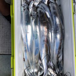 フィッシング キッタカ 釣果