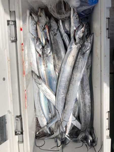 フィッシング キッタカ 釣果