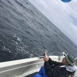 幕島丸 釣果
