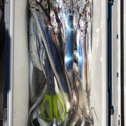 フィッシング キッタカ 釣果