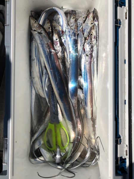 フィッシング キッタカ 釣果