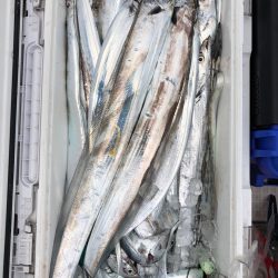 フィッシング キッタカ 釣果