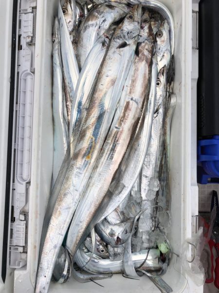 フィッシング キッタカ 釣果