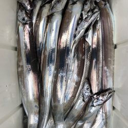 フィッシング キッタカ 釣果