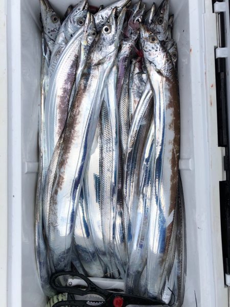 フィッシング キッタカ 釣果