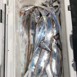 フィッシング キッタカ 釣果