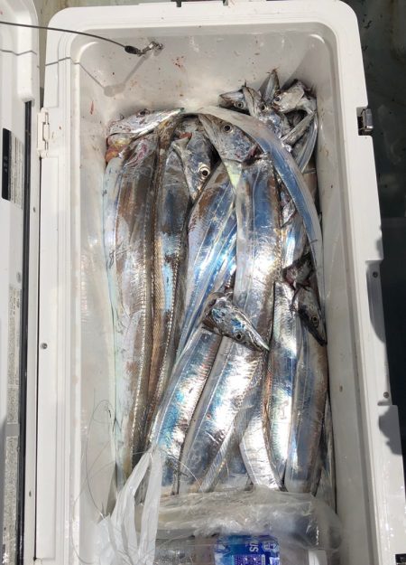 フィッシング キッタカ 釣果