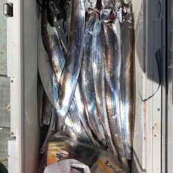 フィッシング キッタカ 釣果