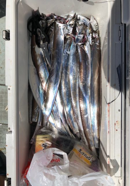 フィッシング キッタカ 釣果