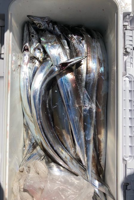 フィッシング キッタカ 釣果