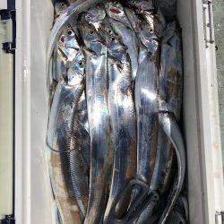 フィッシング キッタカ 釣果