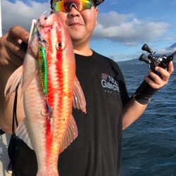 龍神丸(鹿児島) 釣果