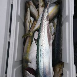 幕島丸 釣果