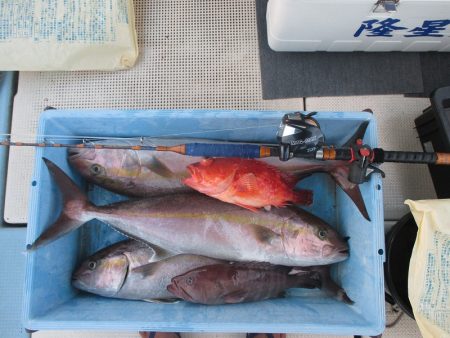 隆星丸 釣果