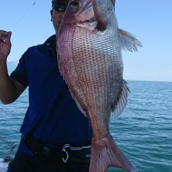 遊漁船 家入 釣果