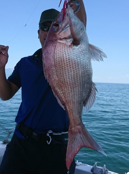 遊漁船 家入 釣果