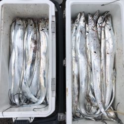 フィッシング キッタカ 釣果