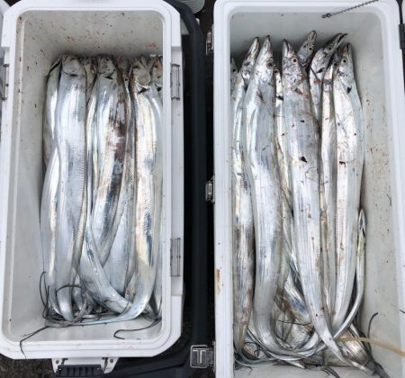 フィッシング キッタカ 釣果