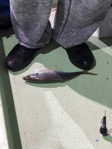 海龍丸（石川） 釣果