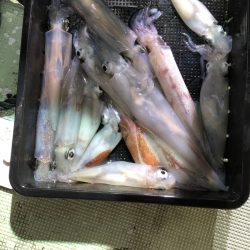 海龍丸（石川） 釣果