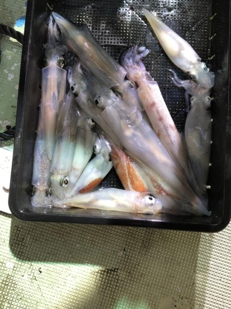 海龍丸（石川） 釣果