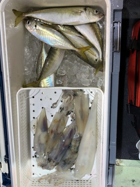 海龍丸（石川） 釣果