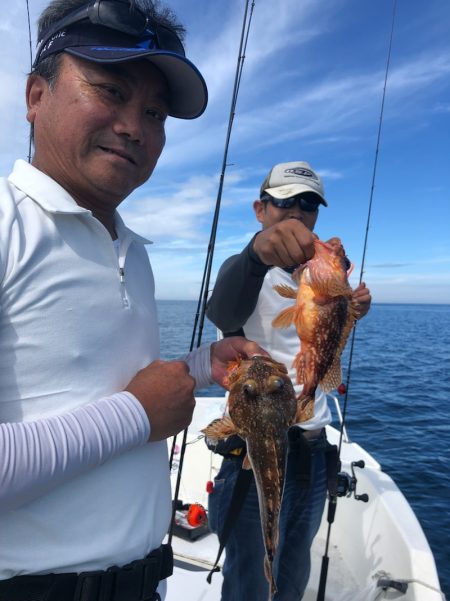 「LaGooN」蒼陽丸 日和号　 釣果