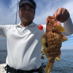 「LaGooN」蒼陽丸 日和号 釣果