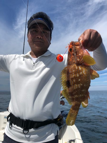 「LaGooN」蒼陽丸 日和号 釣果