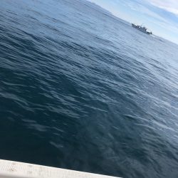 「LaGooN」蒼陽丸 日和号 釣果