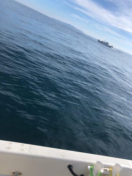 「LaGooN」蒼陽丸 日和号 釣果