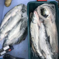 第二 つれたか丸 釣果