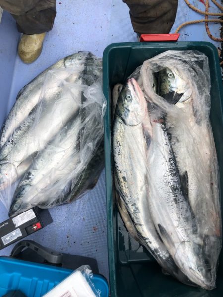 第二 つれたか丸 釣果